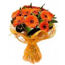 10 Orange Gerberas Bouquet