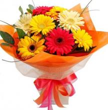 8 Mixed Gerberas Bouquet
