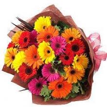 20 Mixed Gerberas Bouquet