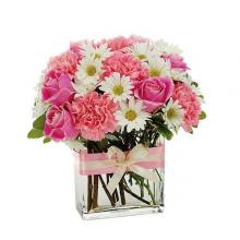 Roses, Gerberas N Carnations