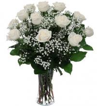 White Rose Carpet